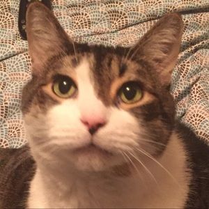 Meet your Posher, Kathleen